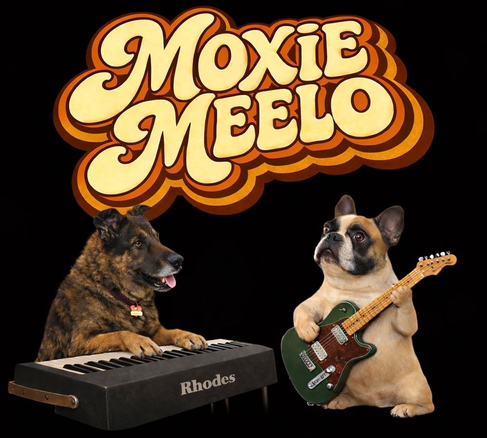 Moxie Meelo